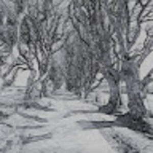 Meet your Posher, Harland